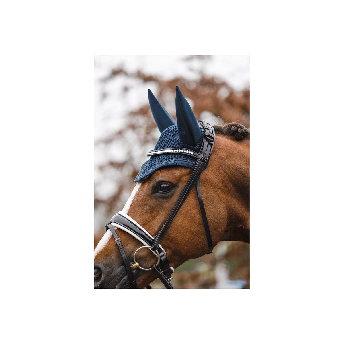 ANKY® Ohrenhaube Charm, Turnierausstattung ATB22010