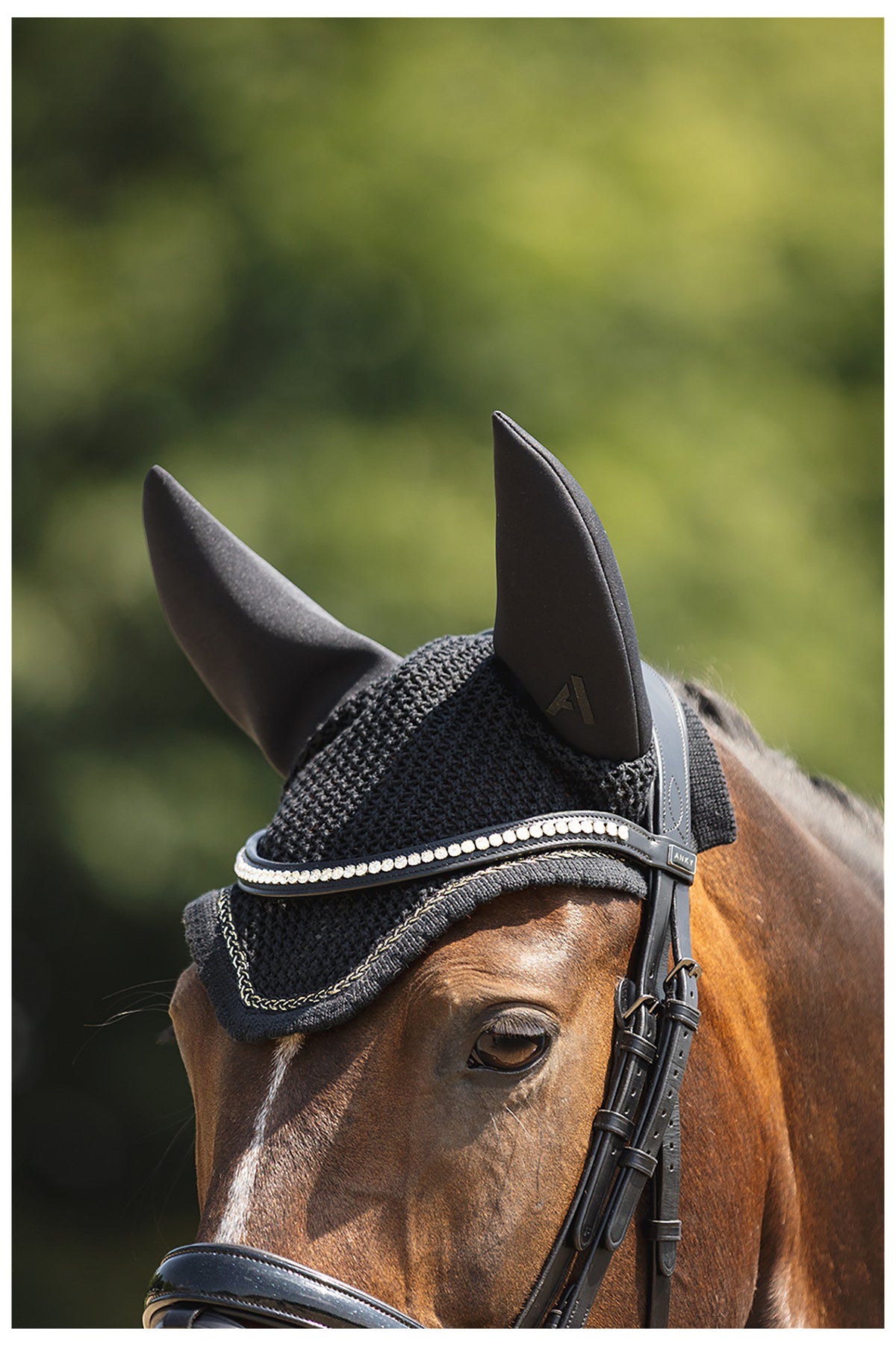ANKY® Ear Bonnet Presence ATB25012