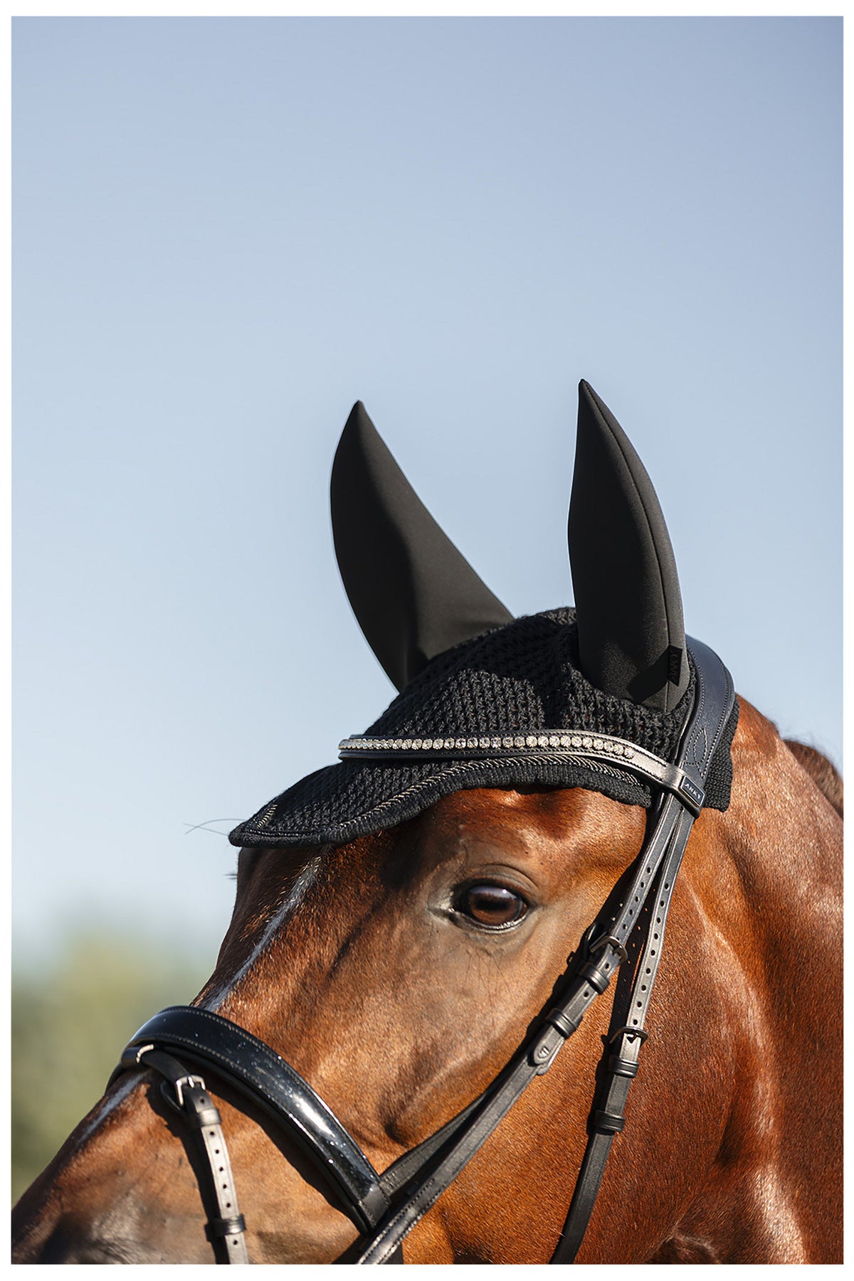 ANKY® Ear Bonnet Perception ATB26005
