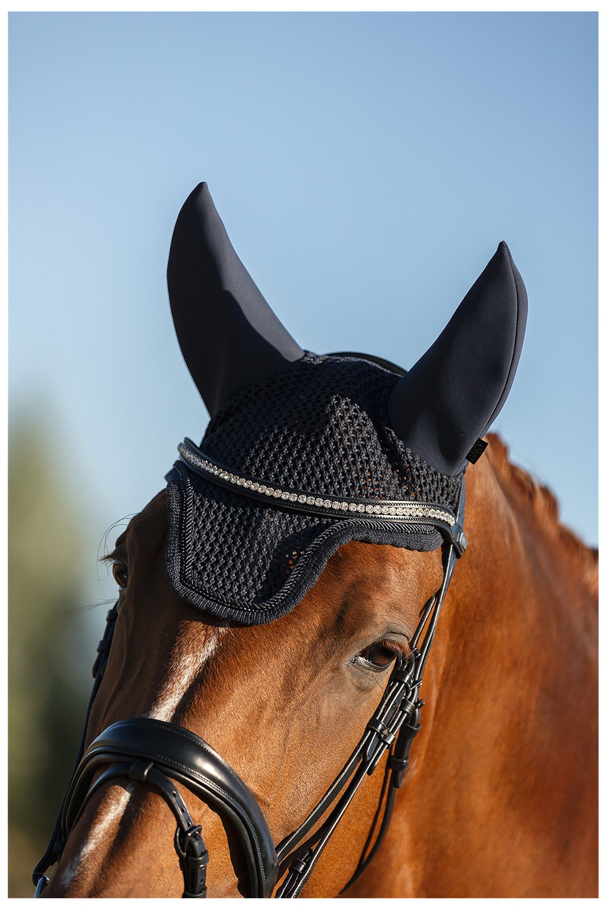ANKY® Ear Bonnet Perception ATB26005