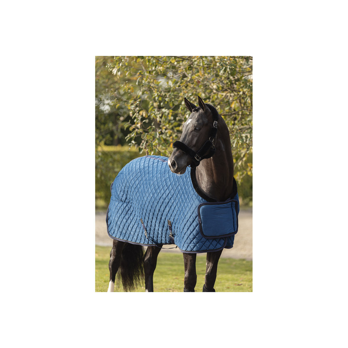ANKY® Ausstellungsdecke Samt ATB23011