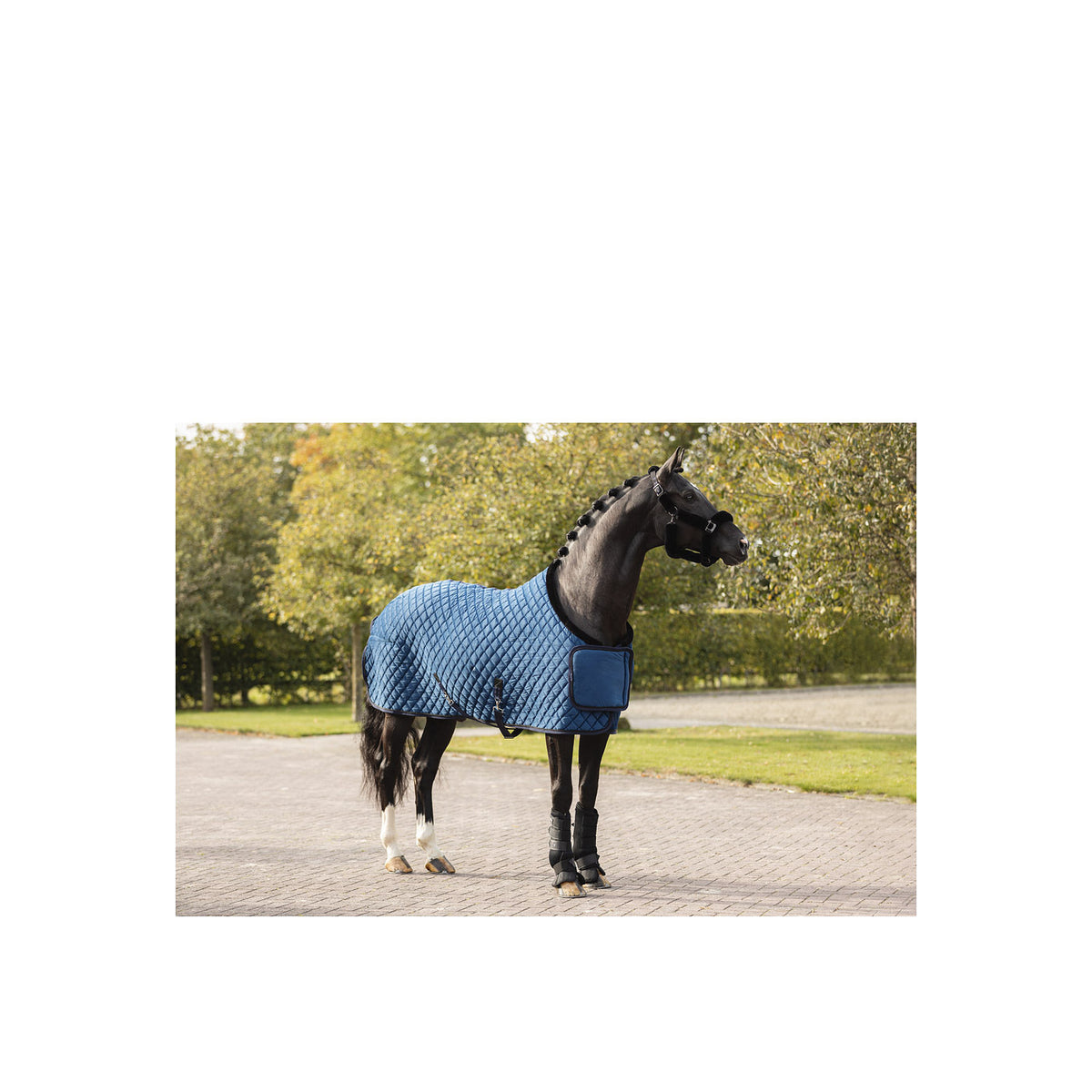 ANKY® Ausstellungsdecke Samt ATB23011