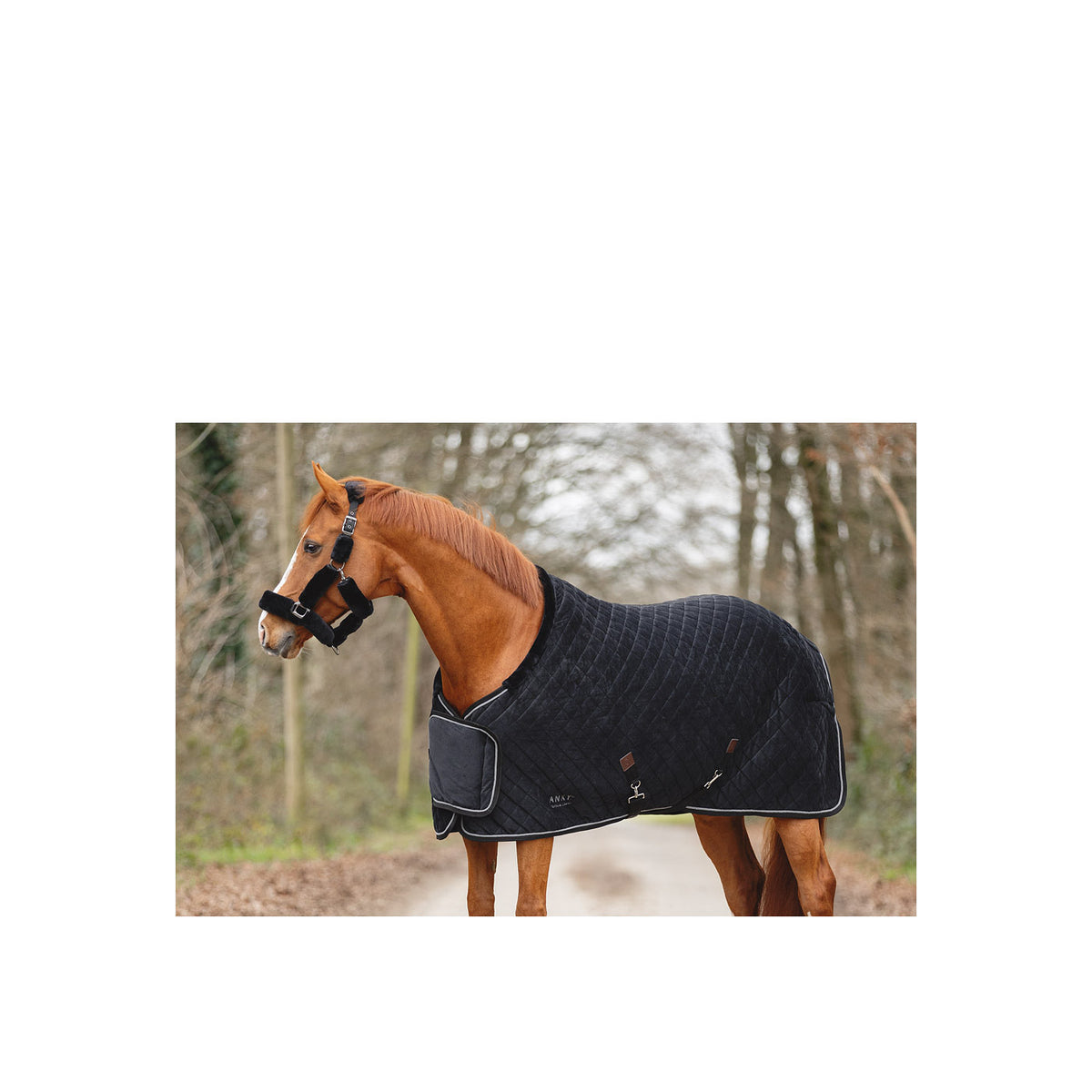 ANKY® Ausstellungsdecke Victory ATB24006