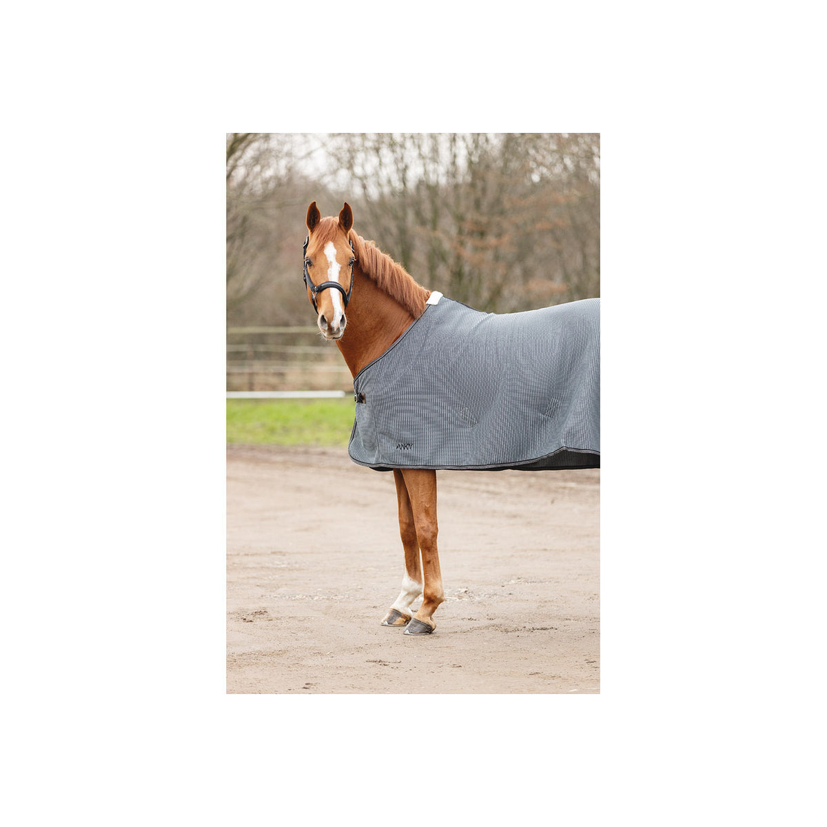 ANKY® Sommer-Transportdecke ATB25004