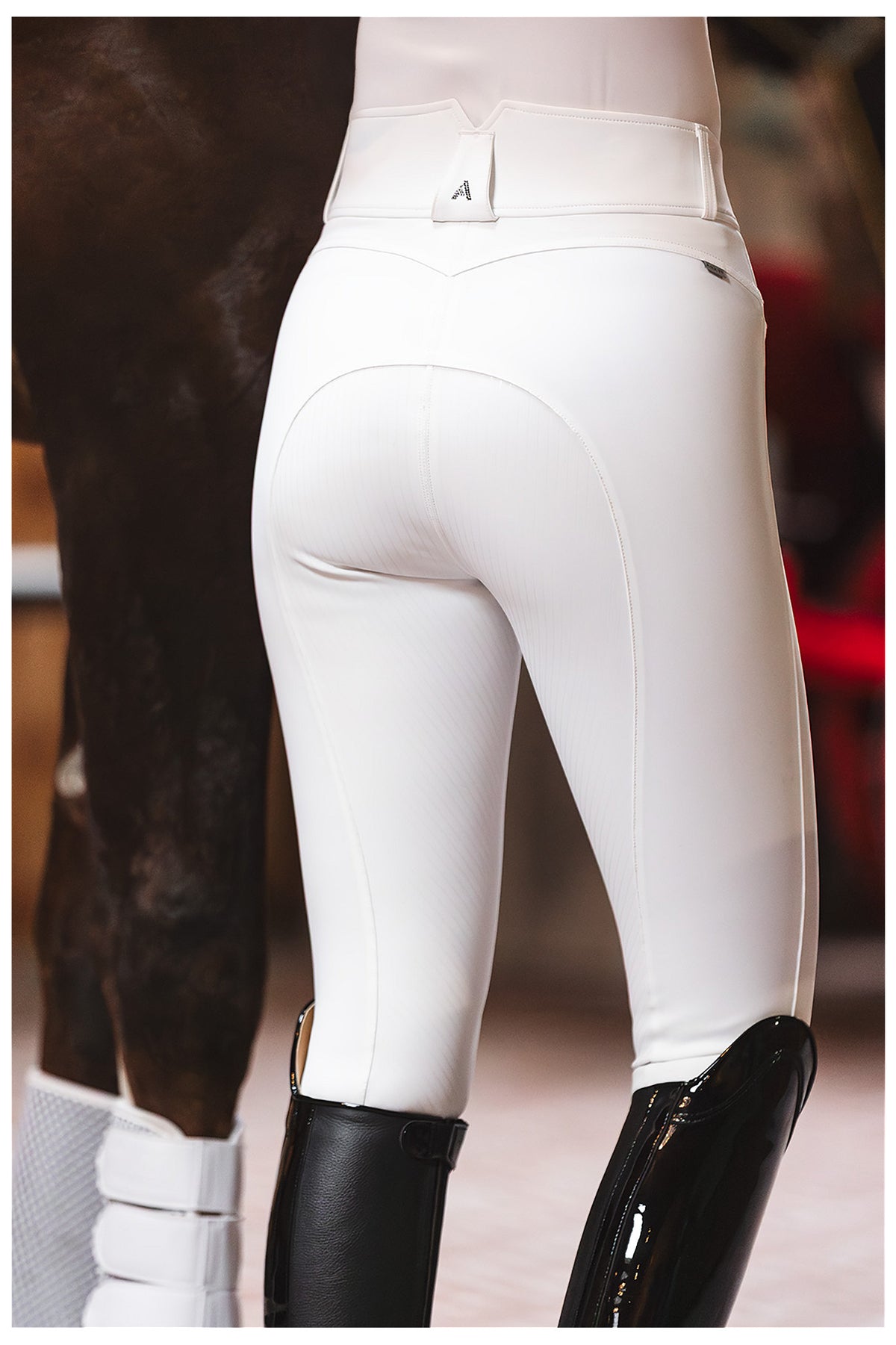 ANKY® Reithose Regal mit Silikon-Vollbesatz C-Wear XR26101