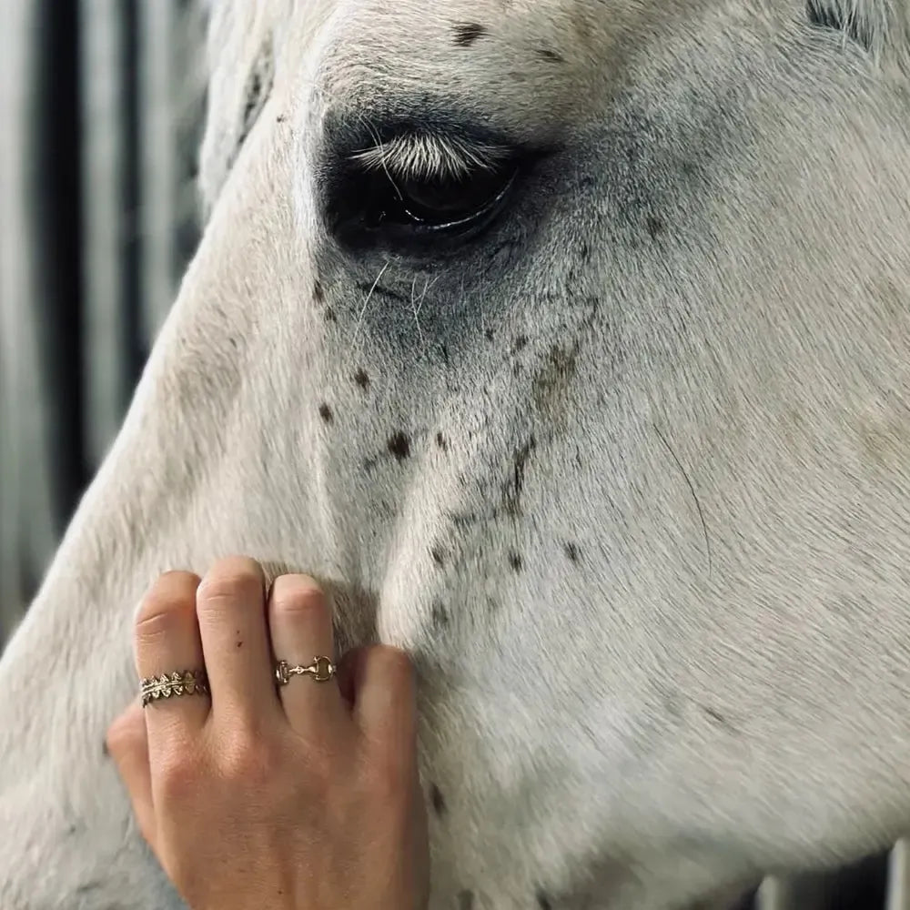 RING - MAYA