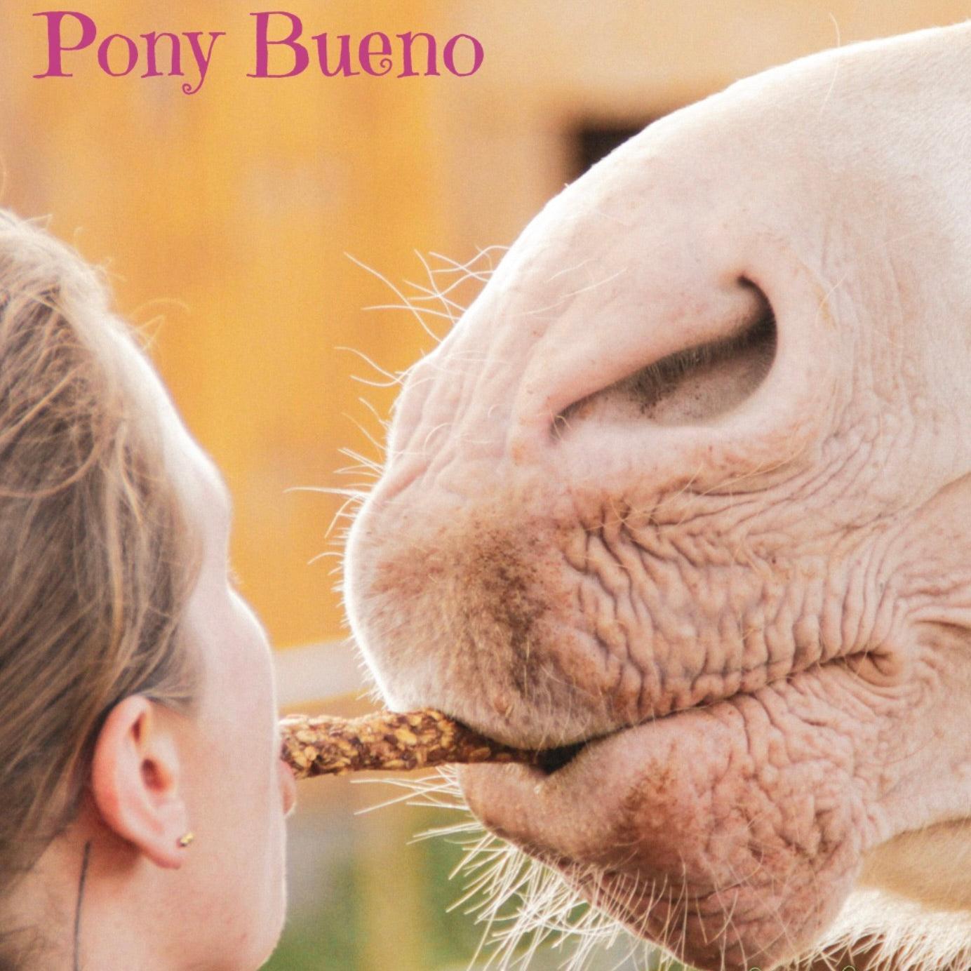 FRUTTI LOLLIES Leckerlies - Pony Bueno