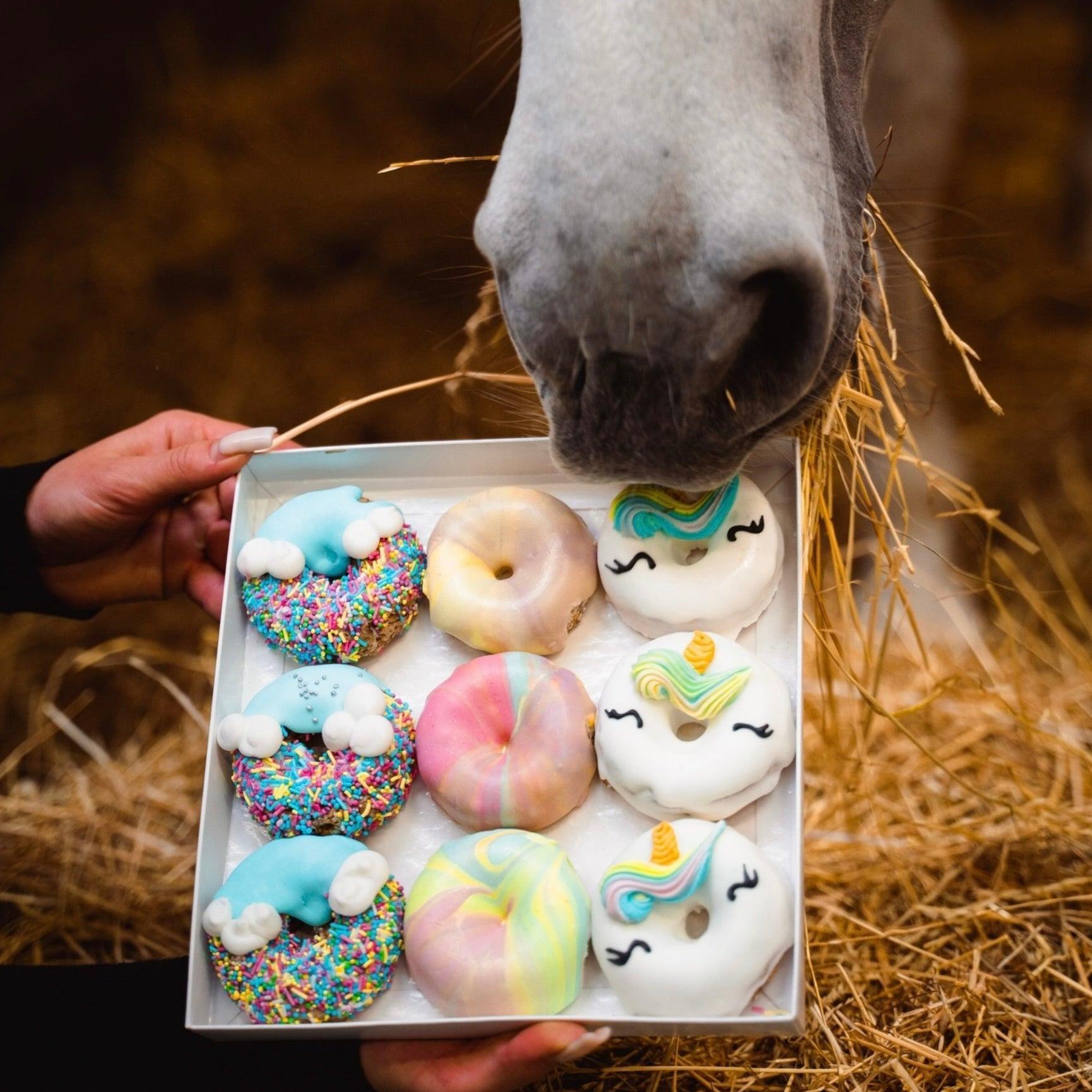 REGENBOGEN-WÖLKCHEN DONUT Leckerlies - Pony Bueno