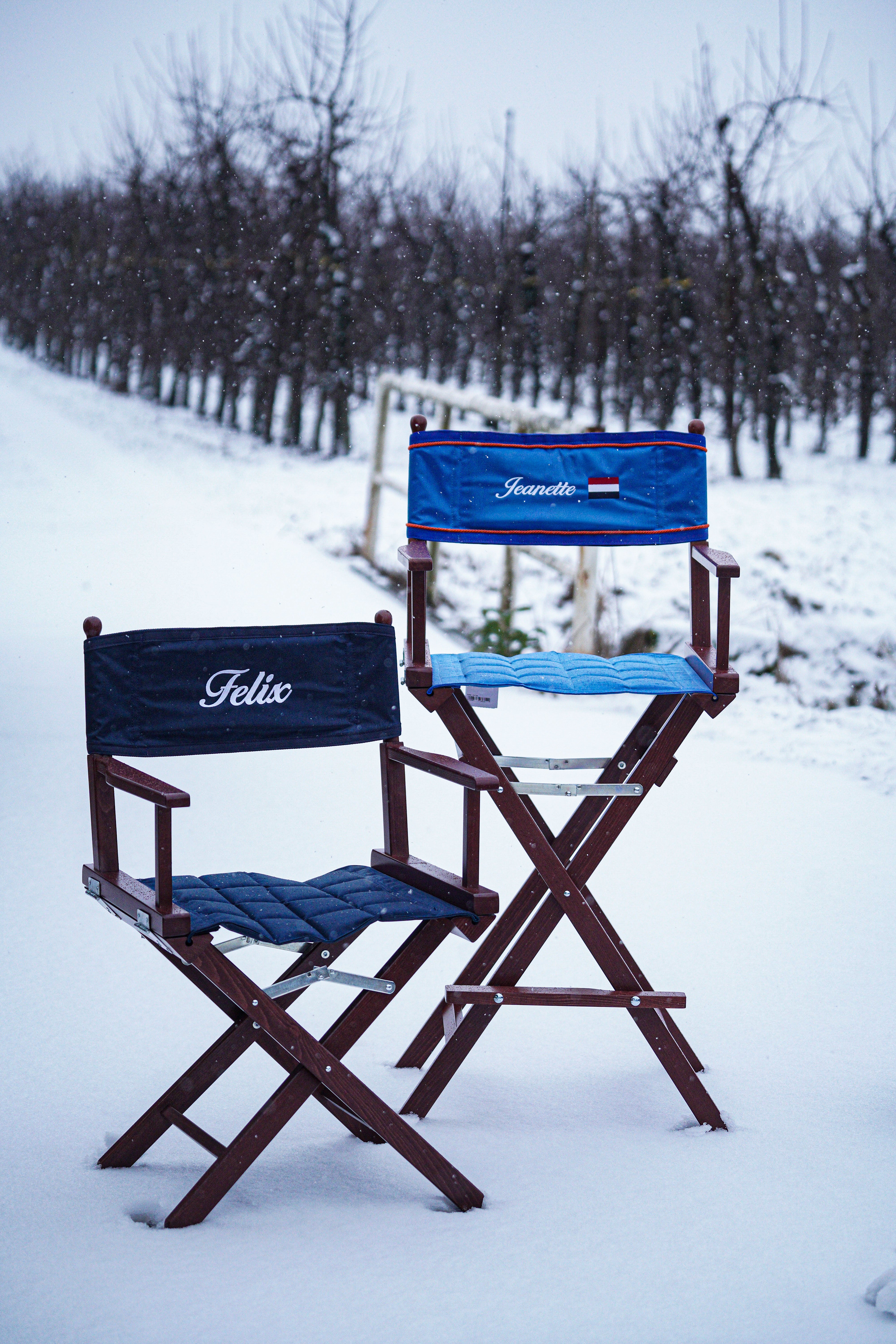 Regiestuhl Konfigurator