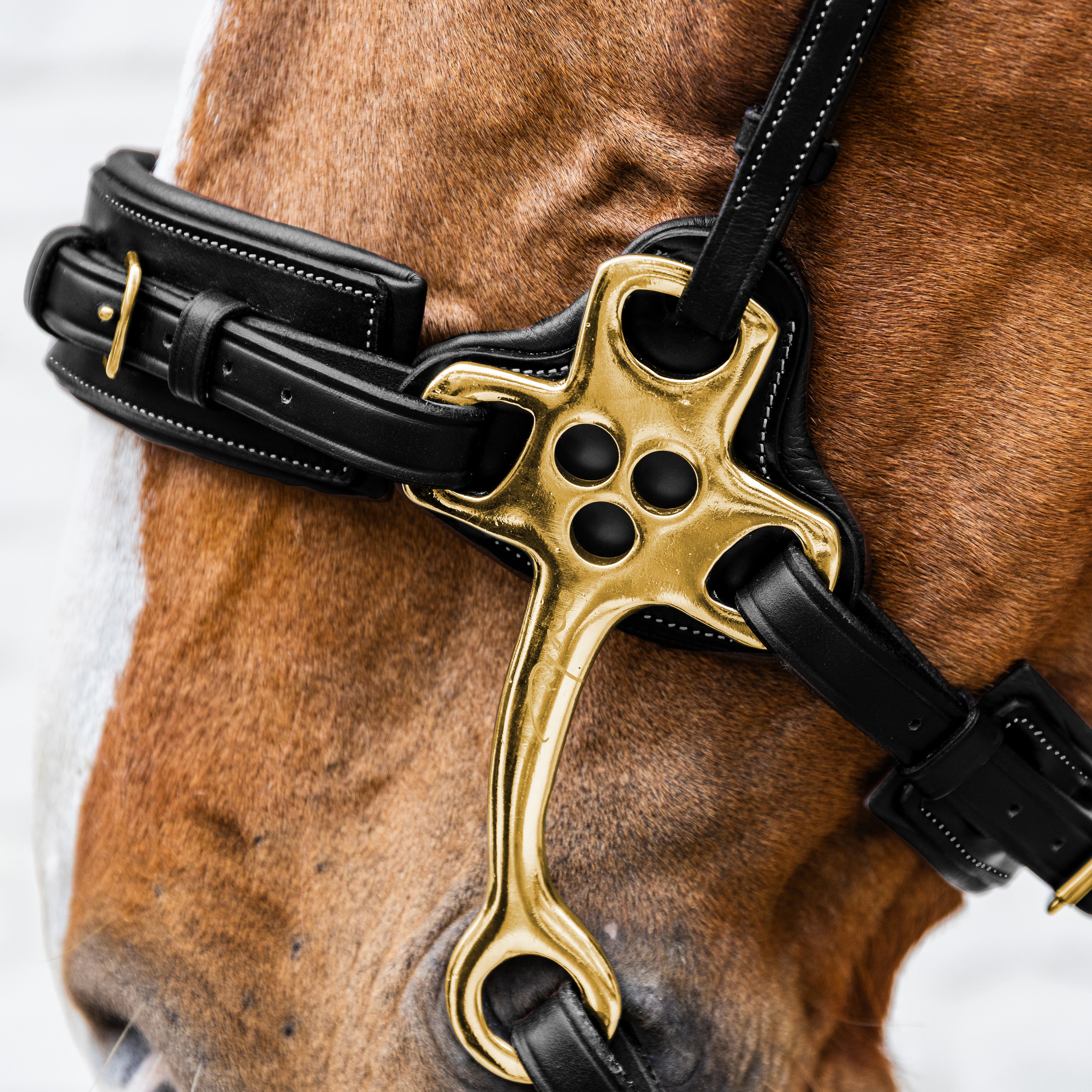 Hackamore