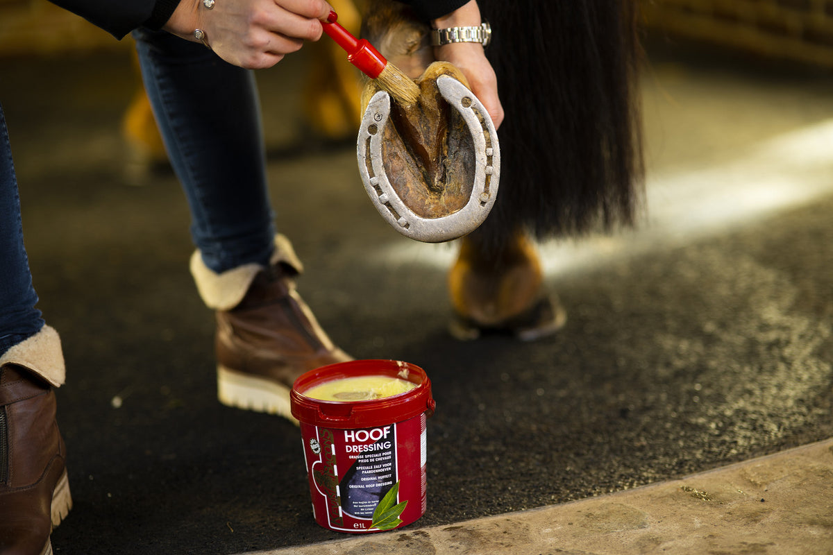 Kevin Bacons Hoofdressing Winter 5L (1pcs)