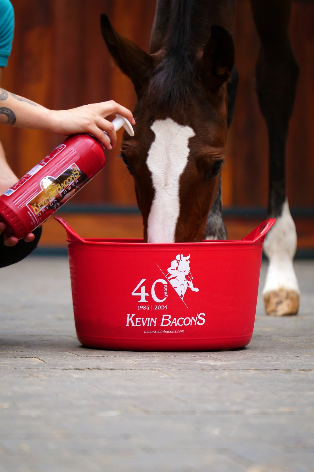 kevin bacons Omega Power 1L (6 pcs)