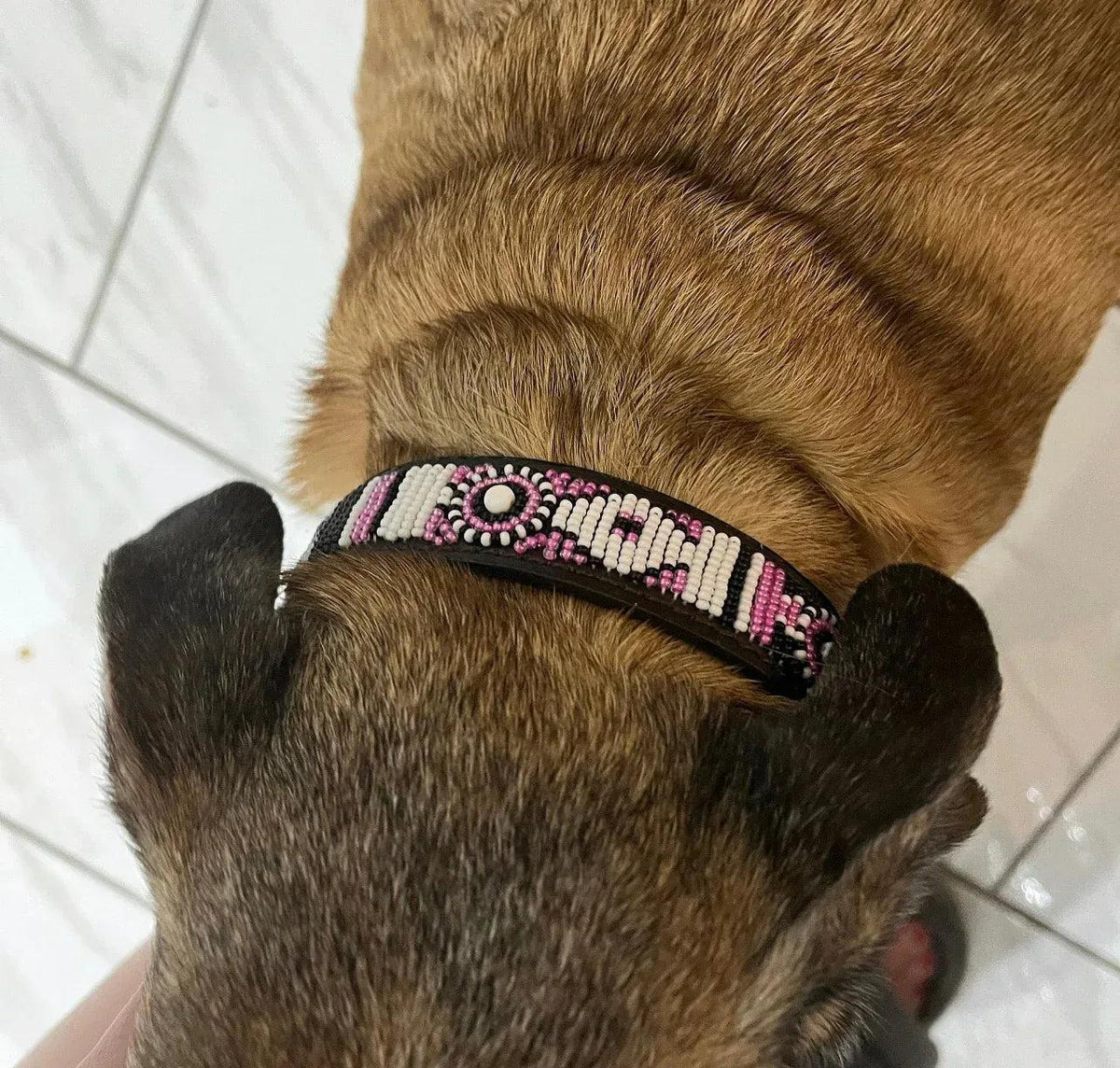 Hundehalsband Maasai Perlen alle Designs