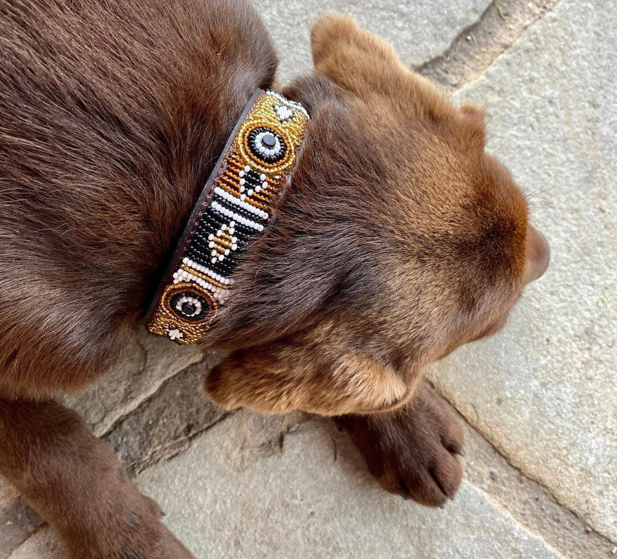 Hundehalsband Maasai Perlen alle Designs