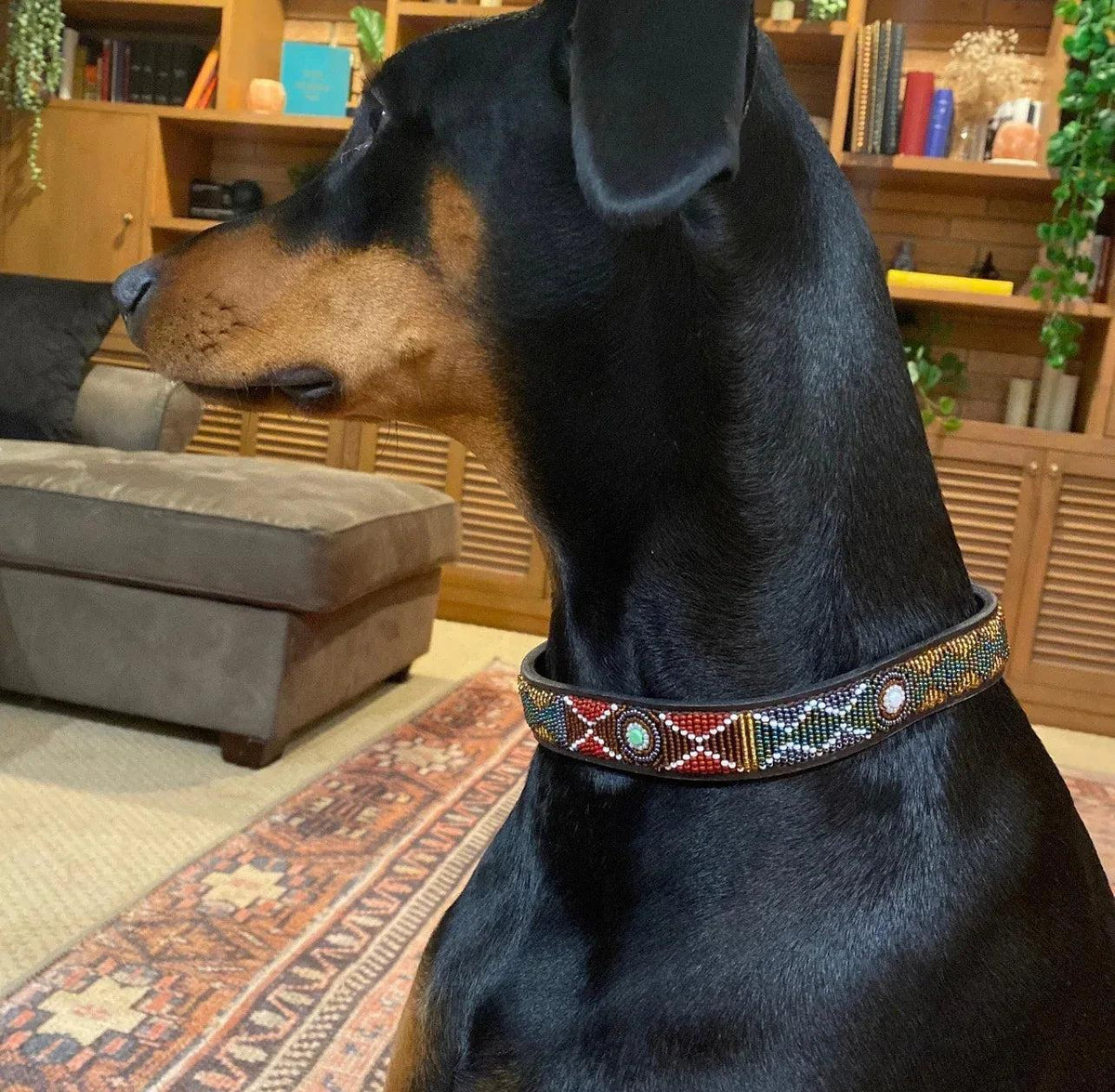 Hundehalsband Maasai Perlen alle Designs