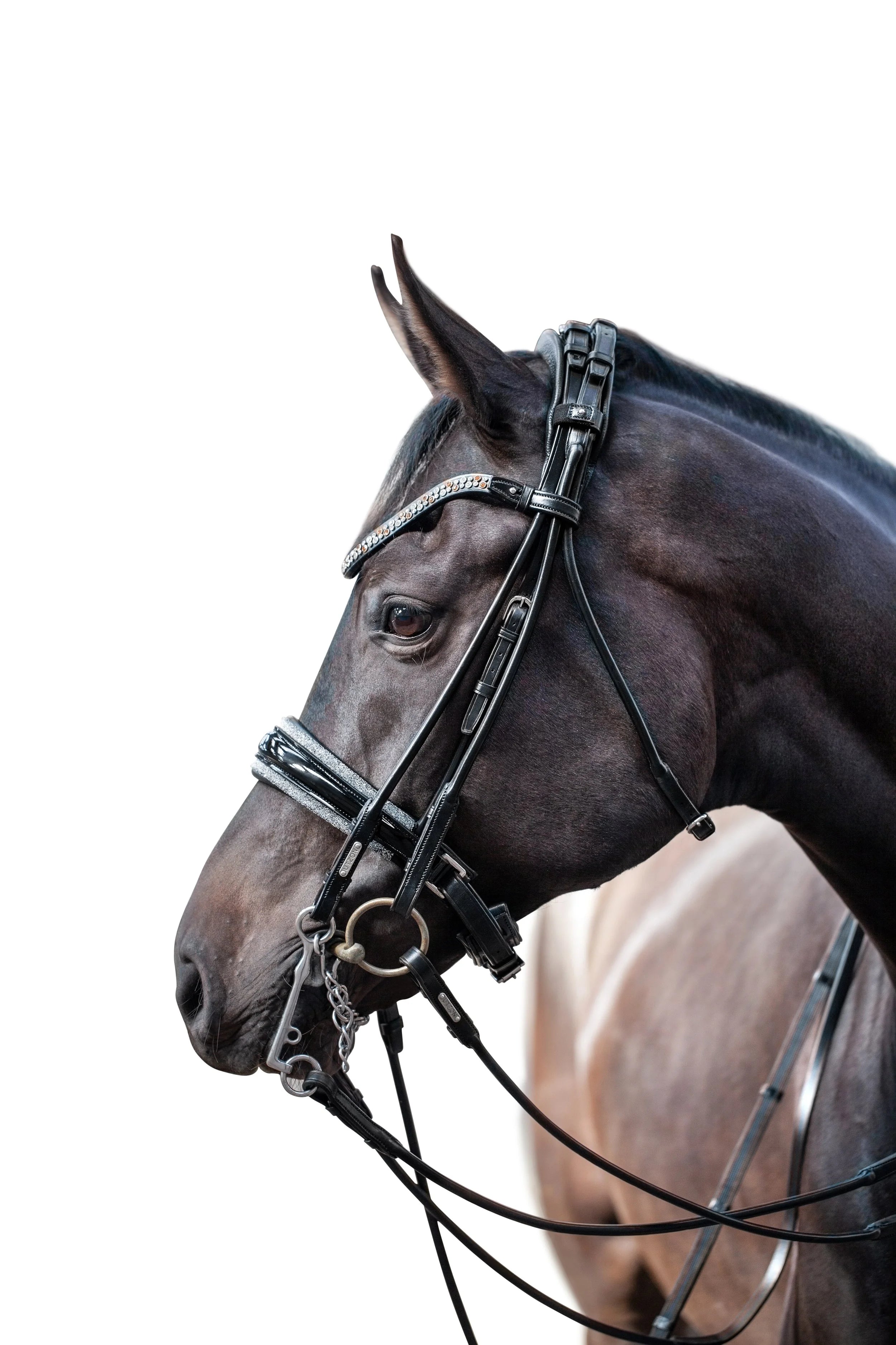 Kandare Miami Crystals