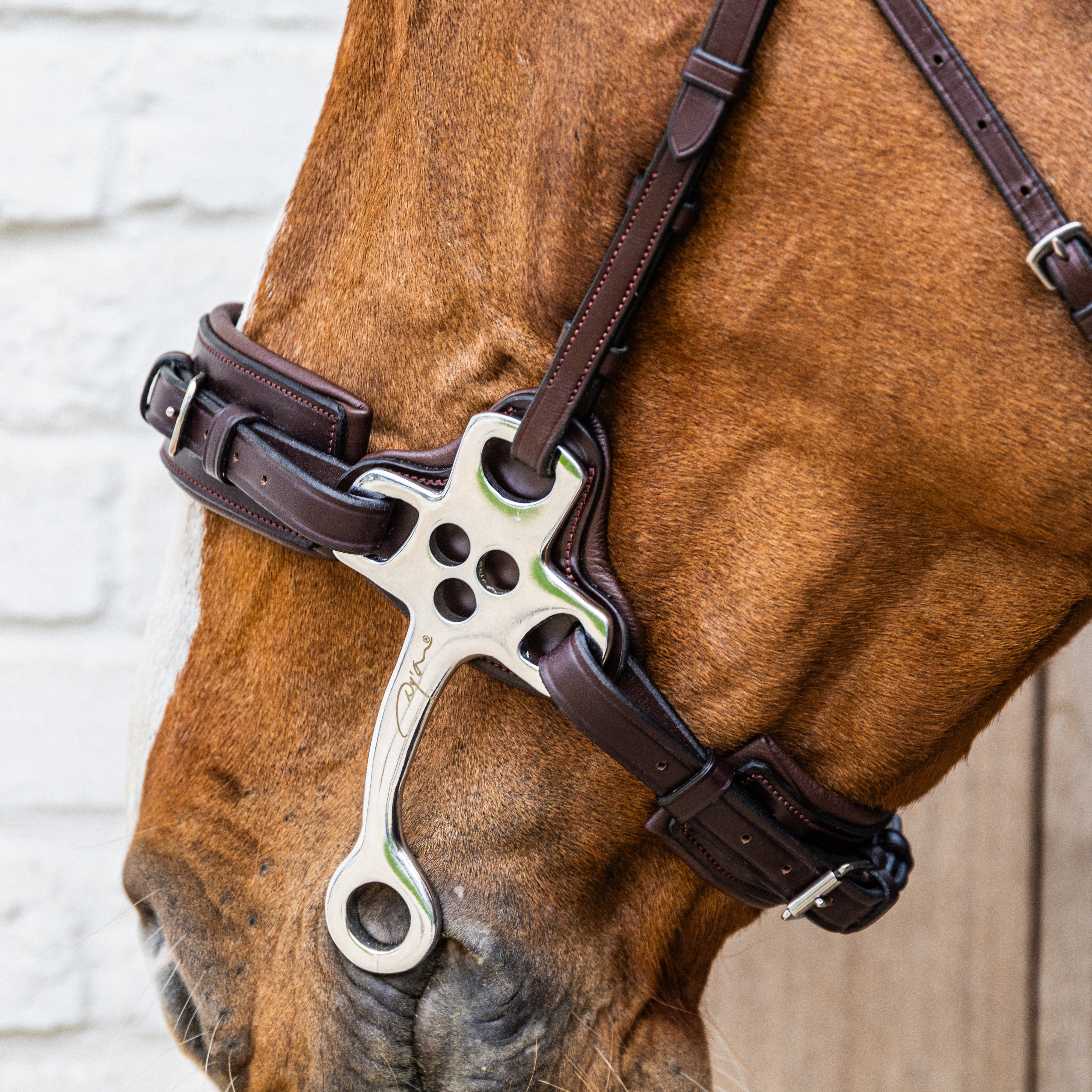 Hackamore