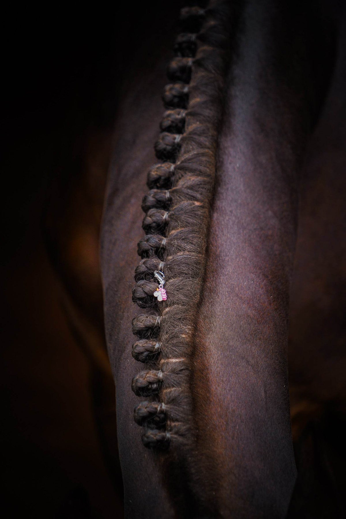 UNICORN Charm