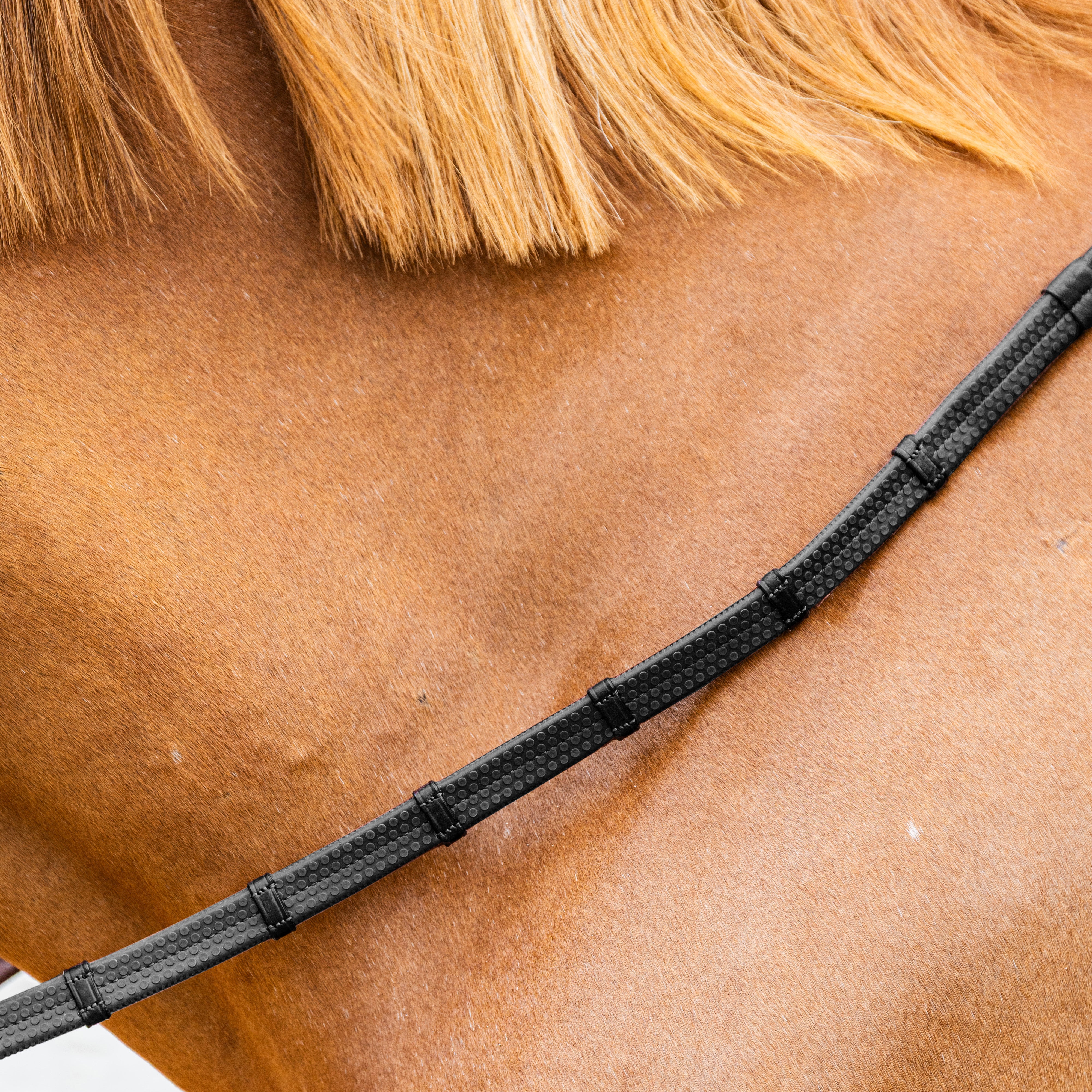 Gummizügel 5 Mit Lederschlaufen Und Karabiner