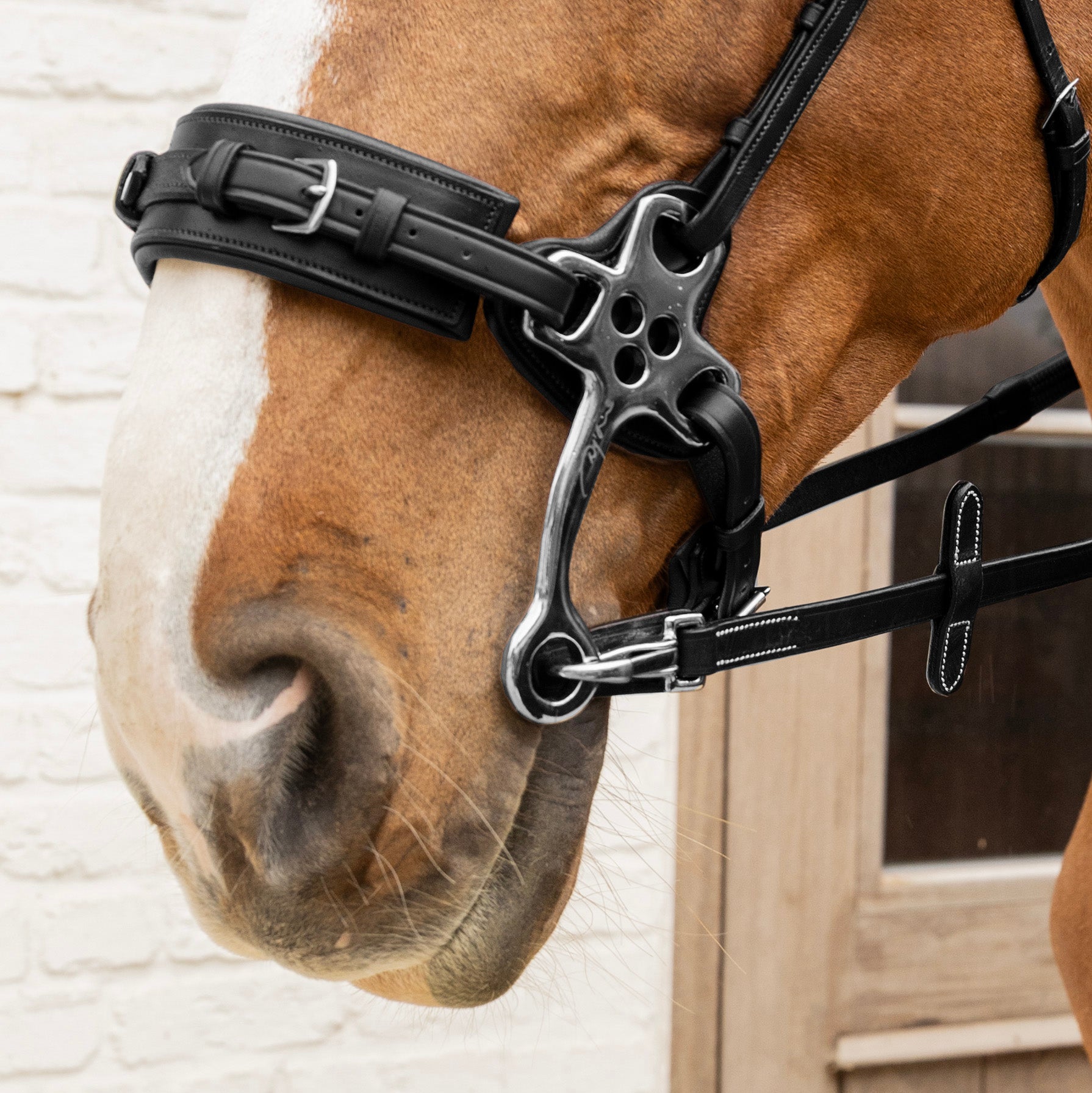 Gummizügel 5 Mit Lederschlaufen Und Karabiner