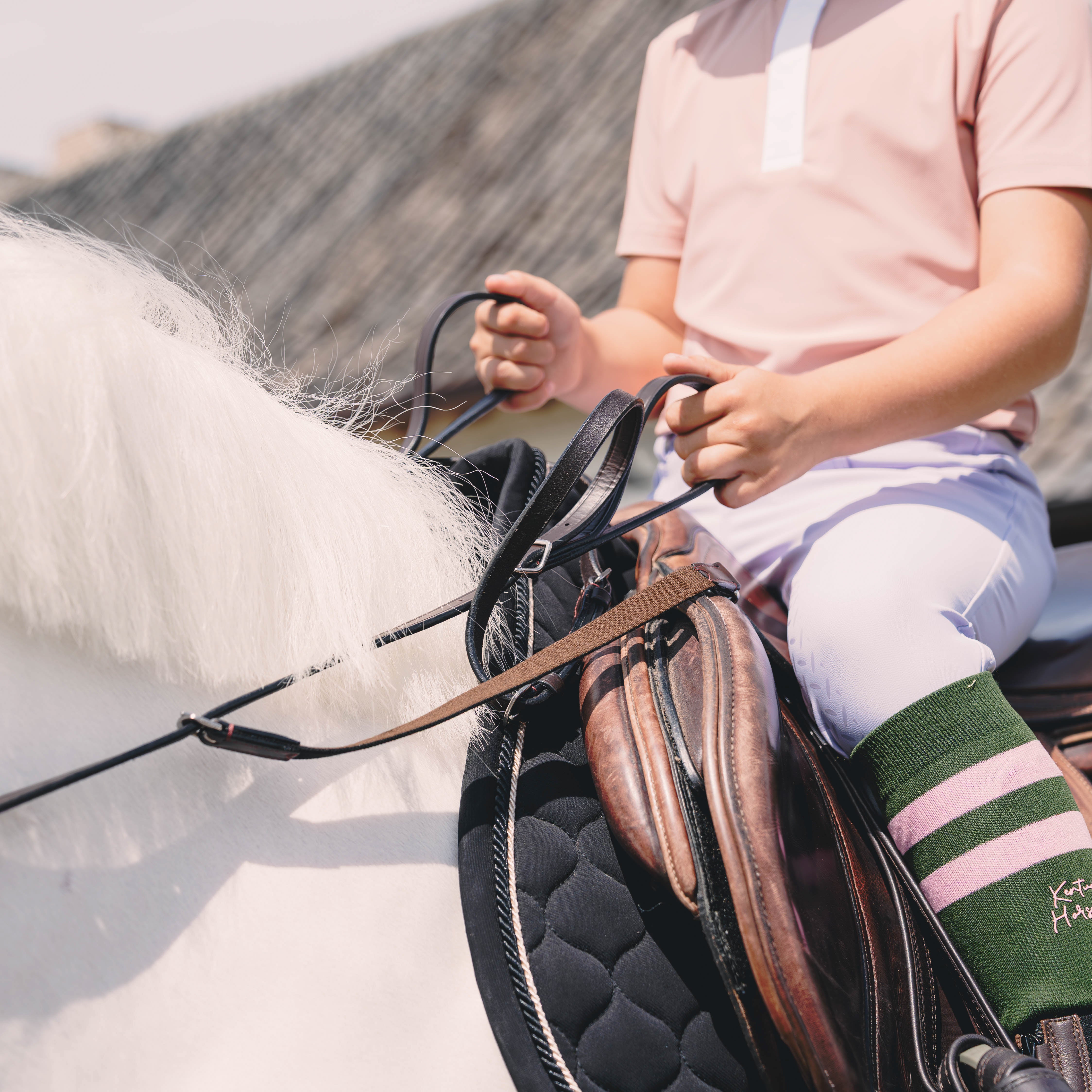 Zügelhilfe Mit Handschlaufe Shetlandpony