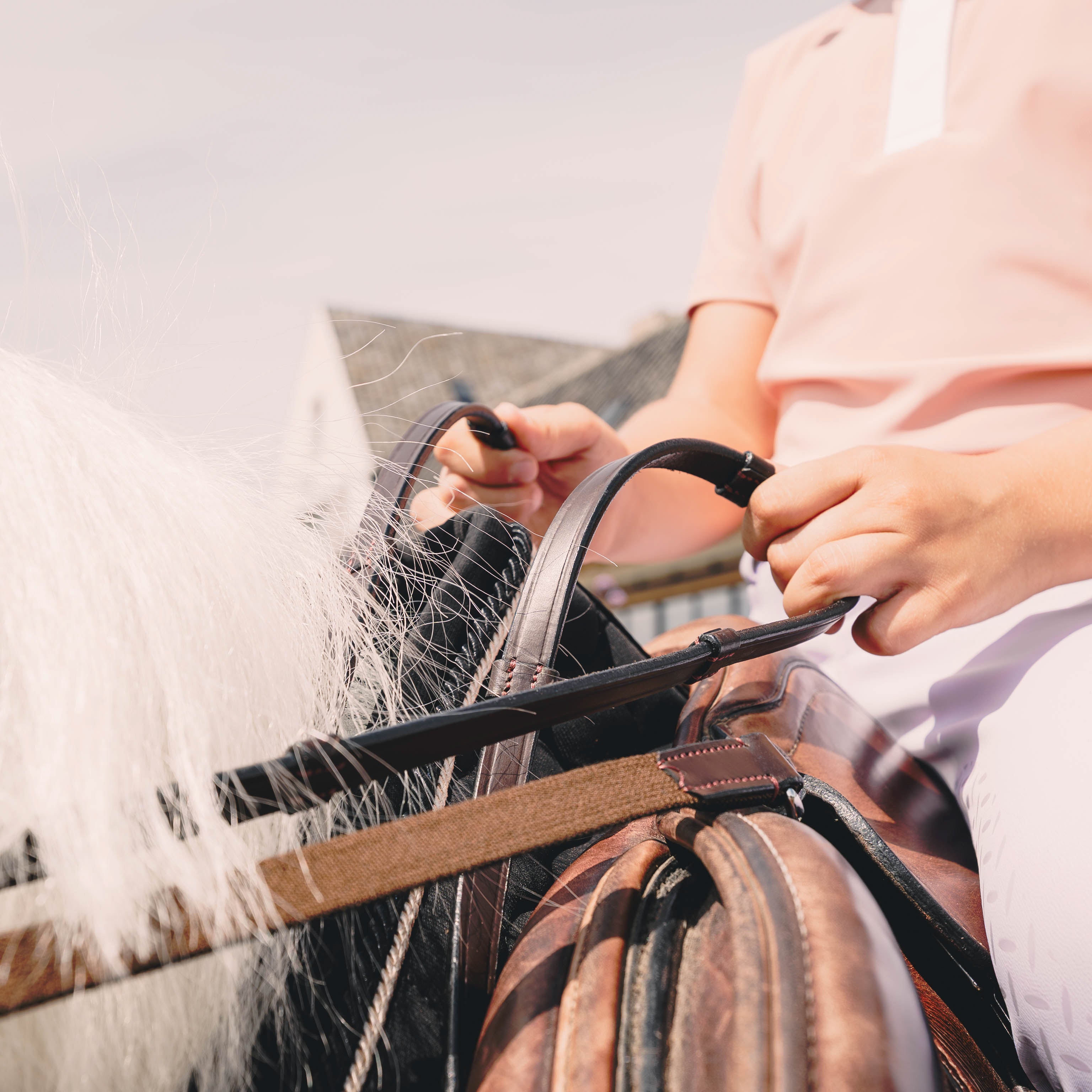 Zügelhilfe Mit Lederschlaufen Shetlandpony
